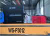 WS-P3012 Gantry Type CNC Metal Plasma & Flame Cutting and Drilling Machine
