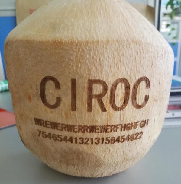 How to engraving logo on Coconut shell by CO2 laser marking machine?