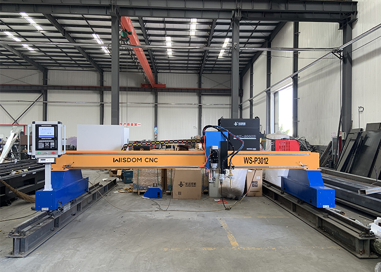 WS-P3012 Gantry Type CNC Metal Plasma & Flame Cutting and Drilling Machine